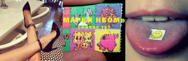 прущие грибы Балахна